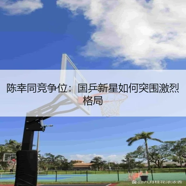 陈幸同竞争位:国乒新星如何突围激烈格局